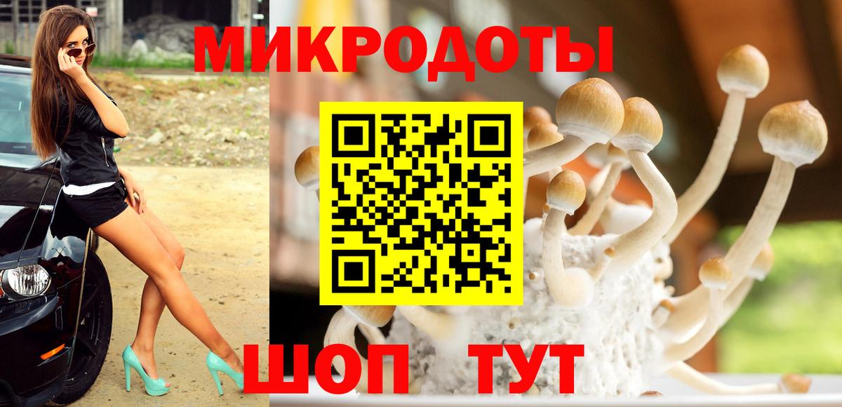 Псилоцибиновые грибы MAGIC MUSHROOMS Кинешма